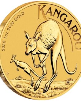 Australian Kangaroo 2022 1oz Gold Bullion Coin