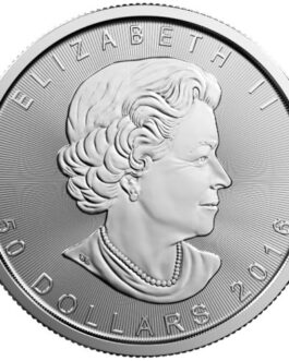 2016 1 oz Canadian Platinum Maple Leaf Coin